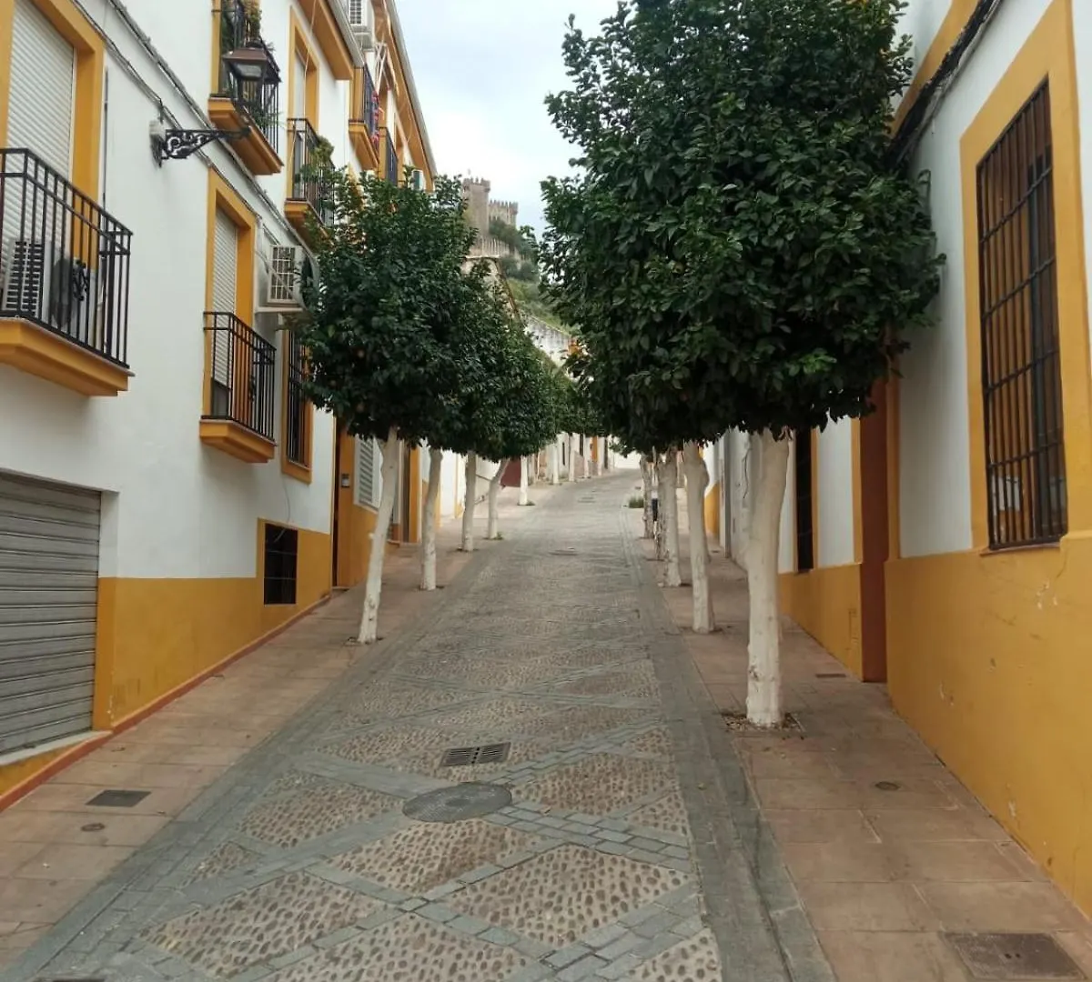 Apartment Alojamiento Los Naranjos Almodovar del Rio